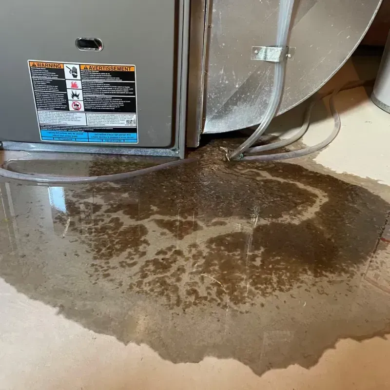 Appliance Leak Cleanup in Jones, OK